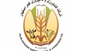 نگاهی به درآمد فروش «زفجر» در 7 ماهه
