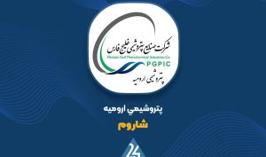 جهش 59 درصدی درآمد «شاروم» تا پایان آذر ماه