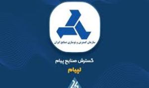 بازنگری در افشای اطلاعات مجامع زیرمجموعه‌های «لیپام»
