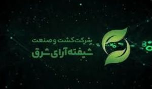 مروری بر عملکرد فروش «شیفته» در 2 ماهه نخست سال