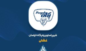 «غشان» در 8 ماهه پرفروش بود