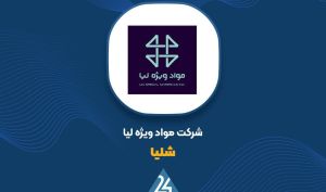 توضیحات «شلیا» در خصوص صورت های مالی