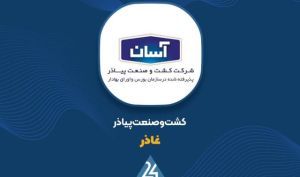 ثبت درآمد ۱۵۰ میلیارد تومانی پیاذر در شهریور ۱۴۰۵