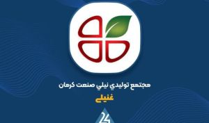 انتشار گزارش ۶ ماهه «غنیلی» روی میز کدال؛ ثبت زیان خالص ۲ میلیارد تومانی