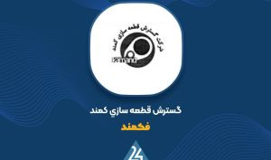 توضیحات «فکمند» در خصوص صورت های مالی