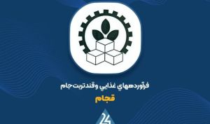 تولید ۱۷ هزار تن شکر؛ نگاهی به کارنامه عملیاتی «قجام» در سال ۱۴۰۵