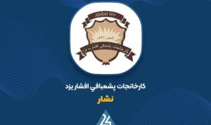 «نشار» به ازای هر سهم سود ۳,۳۲۲ ریالی ساخت؛ ثبت سود بدون درآمد عملیاتی