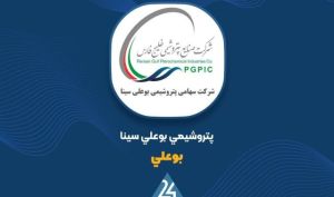 توضیحات «بوعلی» در خصوص صورت های مالی