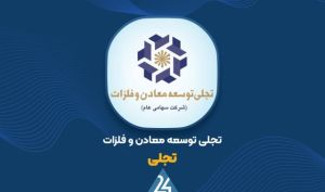 «تجلی» سود سهام را به مجمع فوق‌العاده موکول کرد