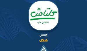 رشد ۱۳۷ درصدی سود «شگل» در گزارش ۹ ماهه