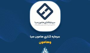 «وهامون» در سراشیبی سود