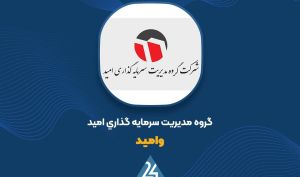 معامله «وامید» با شرکت فرعی