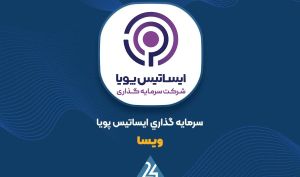 توضیحات «ویسا» در خصوص صورت مالی