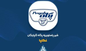 توضیحات «غگلپا» در خصوص نرخ مواد اولیه