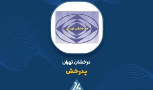 رشد سودآوری «پدرخش» در بهار 1405؛ سود خالص بیش از 300 درصد افزایش یافت
