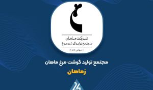 بررسی عملکرد «زماهان»؛ رشد ۱۶ درصدی درآمد در ۶ ماه نخست سال مالی با پیشتازی تخم‌مرغ نطفه‌دار