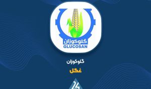 گلوکوز، محصول پیشران فروش «غگل» در ۱۰ ماهه