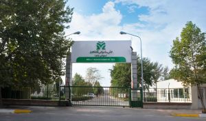 ثبت بالاترین فروش در سه ماهه نخست «شملی»