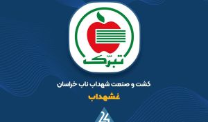گزارش عملکرد ۱۲ ماهه «غشهداب» منتشر شد؛ رشد ۴۱ درصدی سود خالص