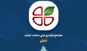 صورت‌های مالی ۱۲ ماهه «غنیلی» منتشر شد: سود عملیاتی ۲ میلیارد تومان
