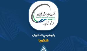 عملکرد ۱۰ ماهه «شگویا»: رشد درآمد و پیشتازی فروش گرید بطری
