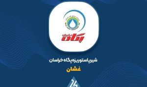 نظر حسابرس نسبت به افزایش سرمایه «غشان»