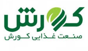 نگاهی به صورت مالی 6 ماهه «غکوروش»