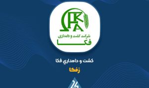 افزایش در نرخ و مقدار فروش شیر خام علت افزایش سود عملیاتی «زفکا»