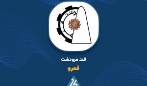 «قمرو» با رشد ۱۰۰ درصدی درآمد، سود خالص خود را به ۵۸۰ میلیارد تومان رساند