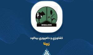 علت افزایش سود عملیاتی «زبینا» چه بود؟