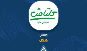 افزایش بیش از ۳۰ درصد سود عملیاتی «گلتاش»؛ نتیجه رشد نرخ فروش و کنترل بهای تمام‌شده