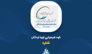 توضیحات «شلرد» در خصوص تعدیل نرخ گاز خوراک