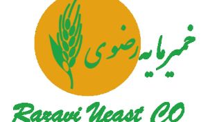 پاسخ‌های «غمایه» به سهامداران؛ از رشد ۱۶۰ درصدی سود عملیاتی تا برنامه افزایش سرمایه