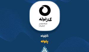 «پلوله» در 9 ماهه چقدر فروش داشت؟