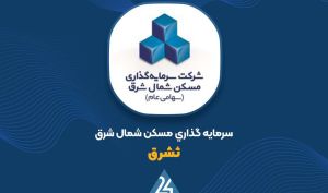 اظهار نظر حسابرس «ثشرق» در خصوص افزایش سرمایه