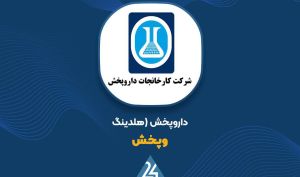 شگفتانه «وپخش»، سرمایه گذاری موفق