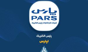 سود هر سهم «لپارس» 317 ریال ثبت شد؛ چالش سودآوری در 9 ماهه