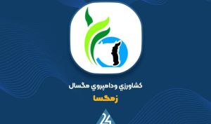 رشد 51 درصدی درامد عملیاتی «زمگسا»