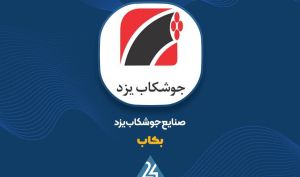 «بکاب» تاییدیه حسابرس را گرفت