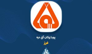 رشد 72 درصدی سود خالص «فزر»