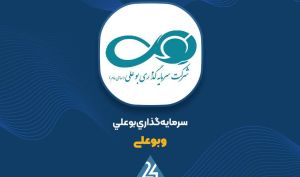 کاهش سودآوری «وبوعلی» در ۳ ماهه منتهی به اردیبهشت ۱۴۰۵