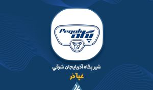 بررسی فروش 9ماهه «غپاذر»