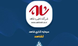 «ثشاهد» در خصوص سود عملیاتی توضیح می دهد