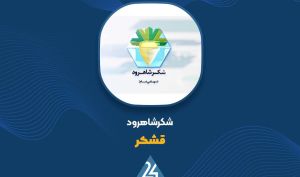 توضیحات «قشکر» در خصوص صورت مالی