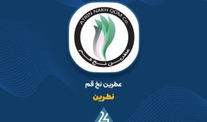 درآمد ۳۱۱ میلیارد تومانی «نطرین» در ۴ ماه اول سال جاری