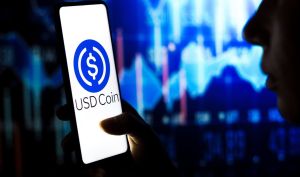 افزایش چشمگیر حقوق‌های پرداخت‌شده با رمزارز در سال ۲۰۲۴؛ USDC صدرنشین پرداخت‌های کریپتویی