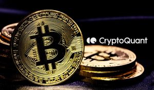 کی یانگ جو: بیت‌کوین هنوز طلای دیجیتال نیست؛ آماده نوسانات باشید