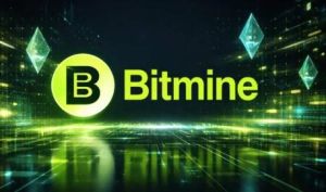 افزایش انباشت اتریوم توسط بیت‌ماین با وجود ضرر سنگین ۸.۸ میلیارد دلاری