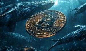 انباشت بی‌سابقه نهنگ‌های متوسط بیت‌کوین؛ سریع‌ترین روند خرید از سال ۲۰۱۲