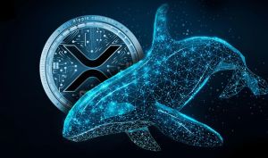 تغییر رفتار نهنگ‌های ریپل همزمان با پایان پرونده حقوقی SEC و فروش گسترده XRP